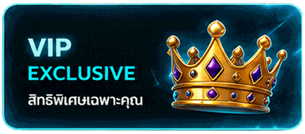 สิทธิพิเศษ VIP